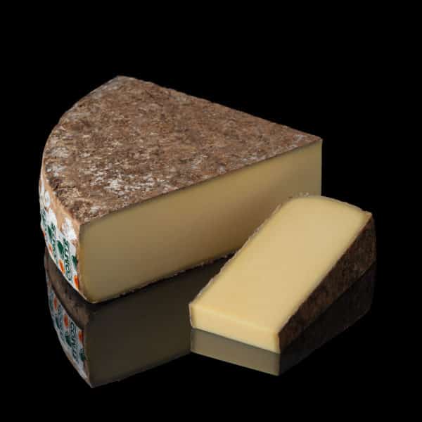 COMTE EXTRA import3