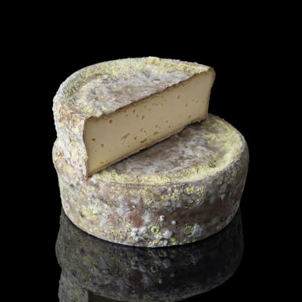 TOMME MAIGRE 15% import3