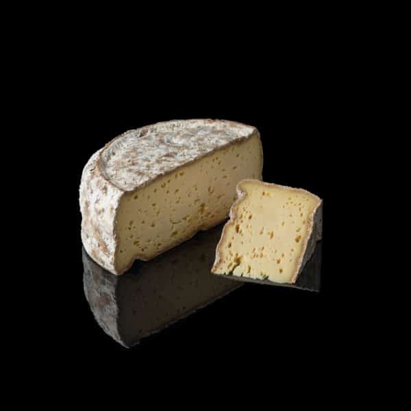 TOMME DE MONTAGNE