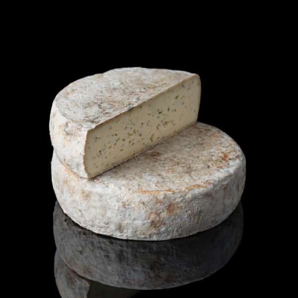 TOMME A L'AIL DES OURS