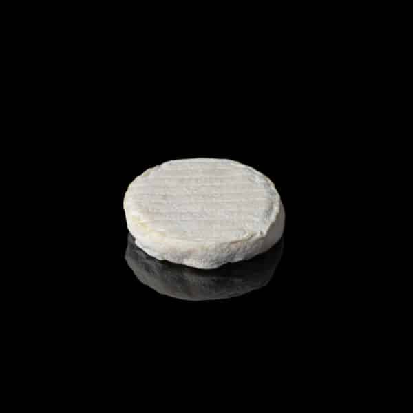 PALET DE BREBIS import 1